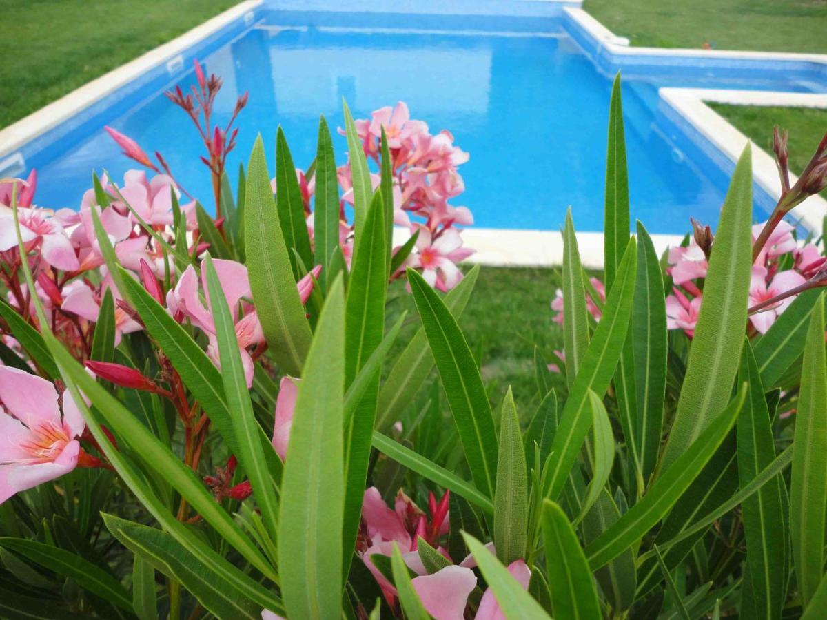 Villa La Charmeuse Fleurie Collias ภายนอก รูปภาพ